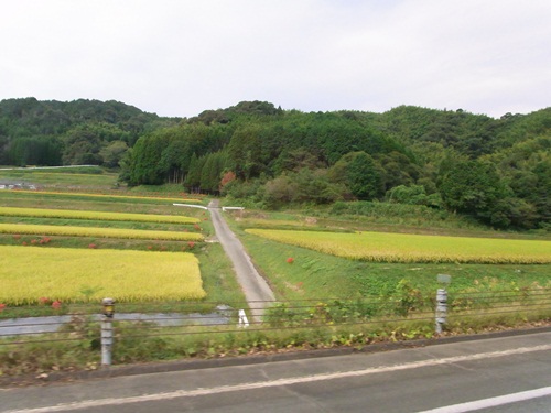 20111014151646.jpg