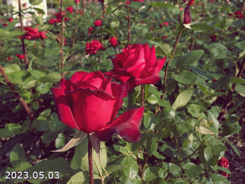 FvJCu56aUAAMyYc.jpg FvJCu56aUAAMyYc.jpg